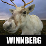 winnberg
